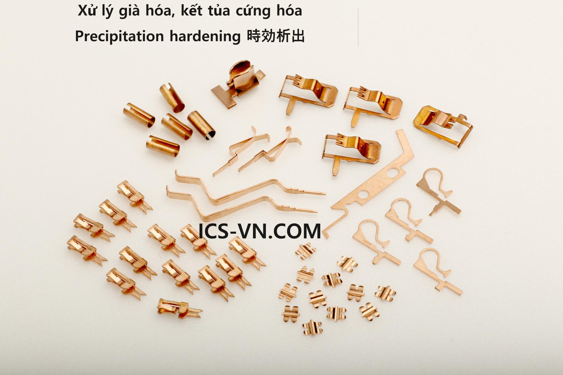 ics-vn.com